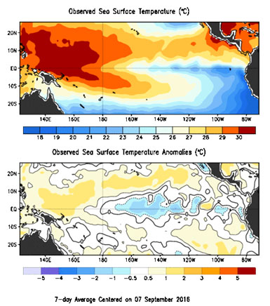 Fig. 1. Distribución de temperatura superficial y su anomalía en el Oceano Pacifico, al 7 de septiembre 2016