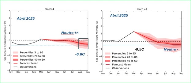 FIG 9 PROYECCIONES DE LA METOFFICE