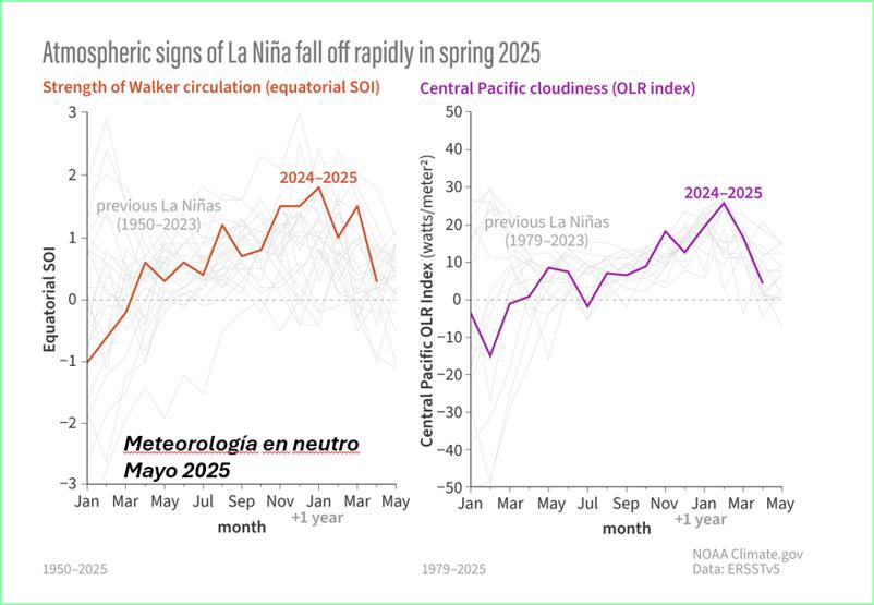 nubosidad y circulacion Walker fig 2
