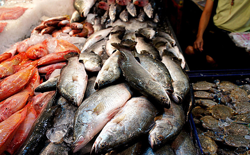 Exportaciones pesca Ecuador
