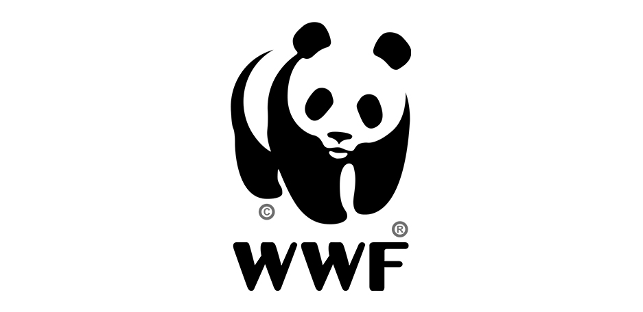 WWF aplaude accionar del Ecuador frente a pesca ilegal de barcos chinos