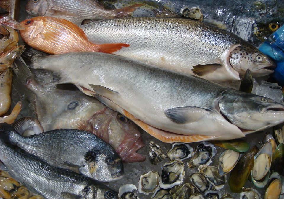La FAO predice una demanda insatisfecha de 30 millones de toneladas de pescados y mariscos para la década 2020