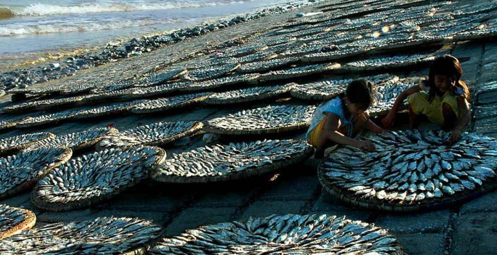 Los latinoamericanos comerán cada vez más pescado