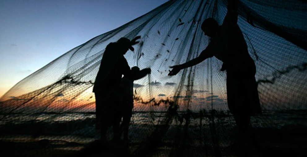 América Latina es potencia en exportación de pescado