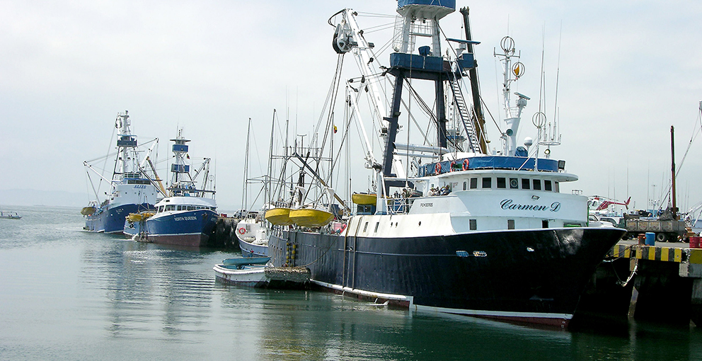 Oportunidades para el sector pesquero  en la ley de fomento productivo