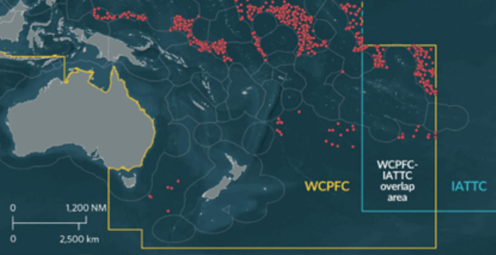 Transbordos de pescado en el mar en el Pacífico Occidental y Central pueden estar significativamente sub-reportados