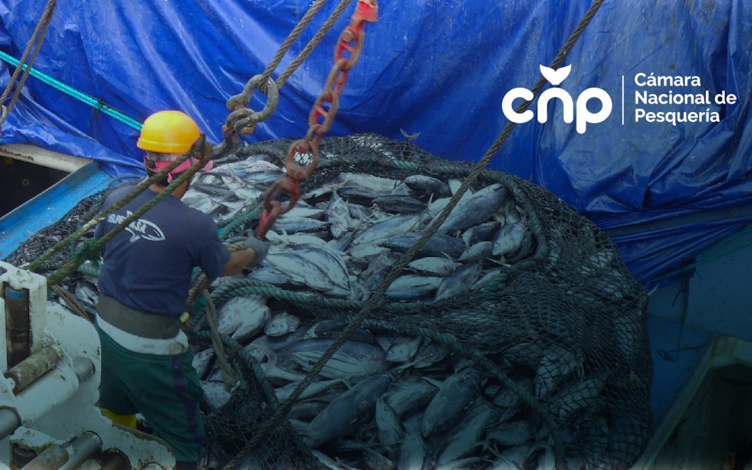El sector atunero ecuatoriano se compromete con la seguridad y asegura el abastecimiento de materia prima