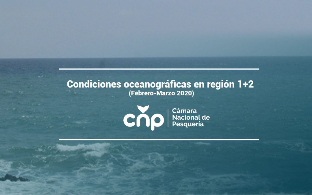 Condiciones oceanográficas en región 1+2 (febrero-marzo 2020)
