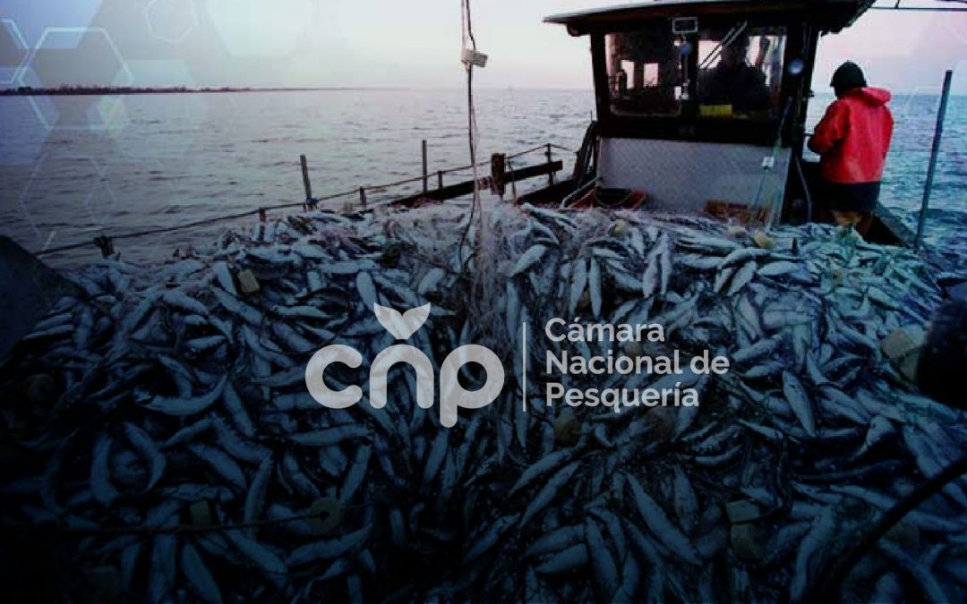Sector pesquero espera visita de comisión de la Unión Europea que verificará procesos en Ecuador