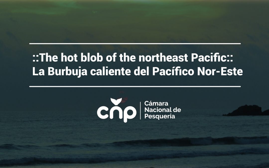 The hot blob of the northeast Pacific::La Burbuja caliente del Pacífico Nor-Este