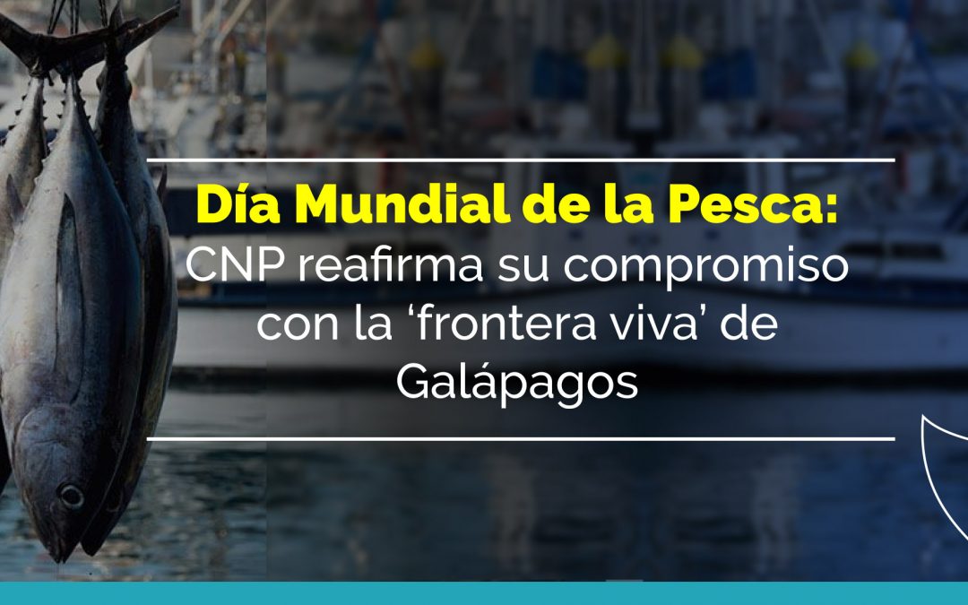 Día Mundial de la Pesca: CNP reafirma su compromiso con la ‘frontera viva’ de Galápagos