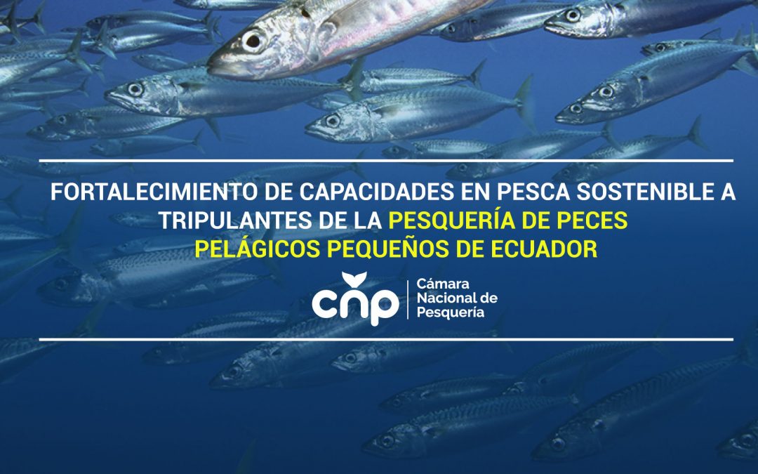 Fortalecimiento de capacidades en pesca sostenible a tripulantes de la pesquería de peces pelágicos pequeños de Ecuador
