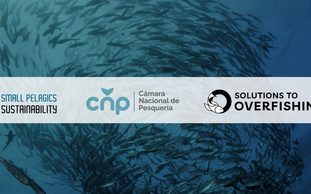 Propuesta de CNP gana competencia del Banco Mundial de soluciones para la sobrepesca