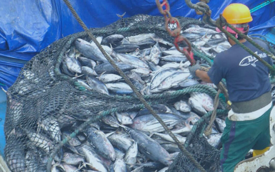 Exportaciones pesqueras enero-octubre 2022