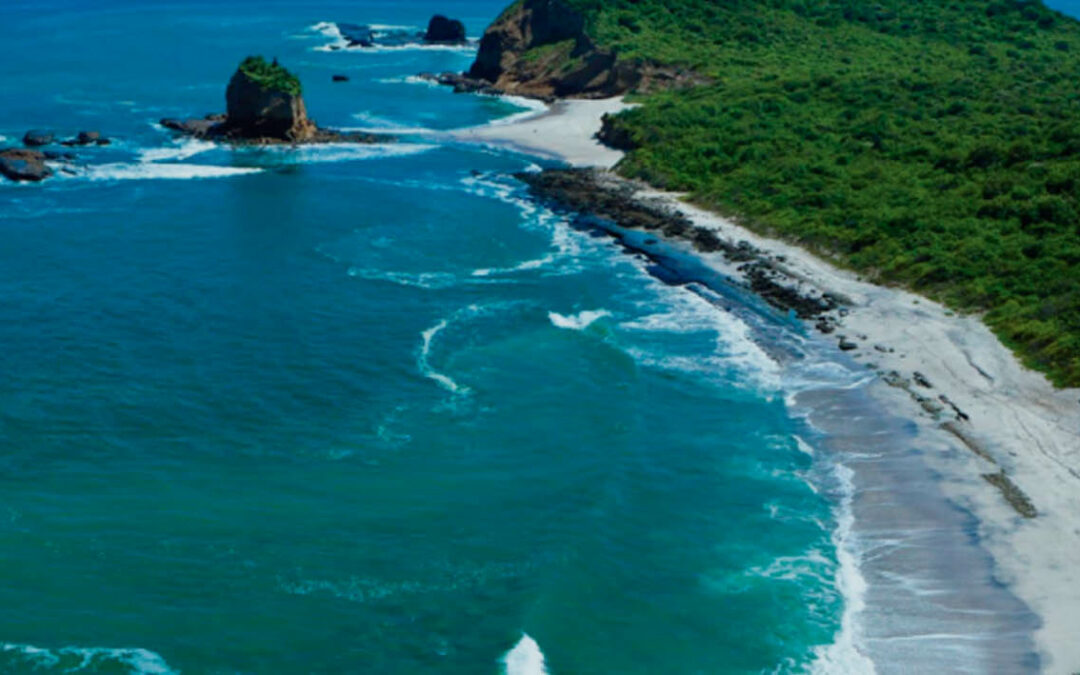 Condiciones oceanográficas en el Pacífico Este en transición. Enfriamiento superficial costero rápido
