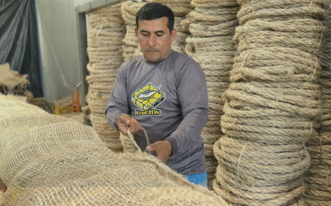 Boletín de prensa: TUNACONS, pionera en el uso de EcoFADs para una pesca de atún más sostenible